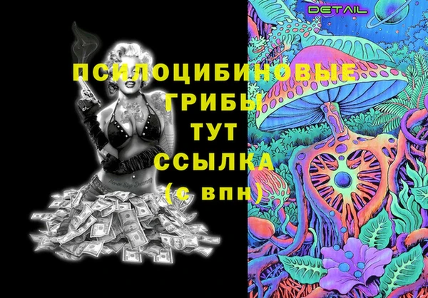 молекула духа Михайлов