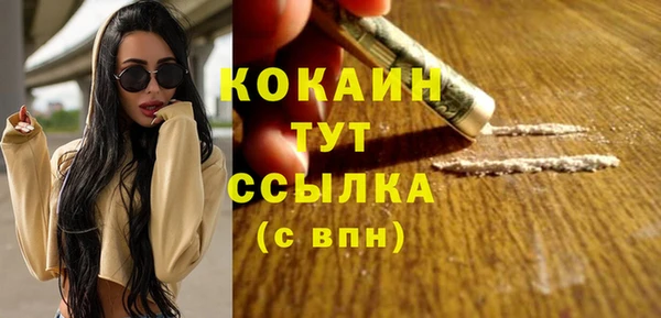стаф Михайловск