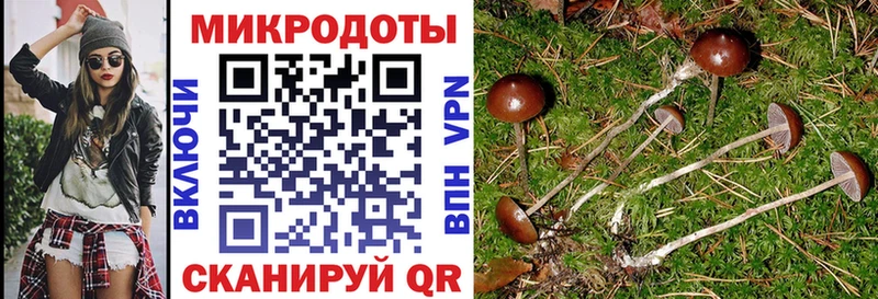 Псилоцибиновые грибы Psilocybe  Чебоксары 